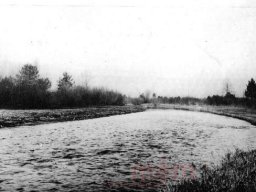 aare Busswil 1930